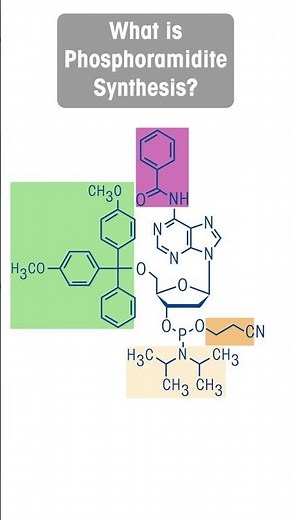 What is Phosphoramidite Synthesis?