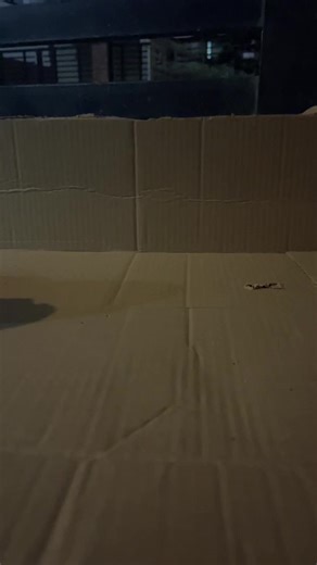 Titus Interceptor: Cardboard Crafts Animation