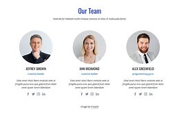 An international team of experts - HTML Template by Nicepage