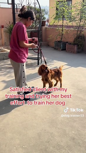 #traininginktm #dogtraining #obedient #training #cocker #spaniel #