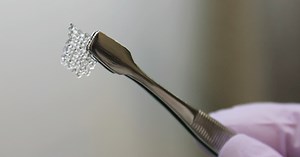 3-D Printed Ovaries Produce Healthy Offspring