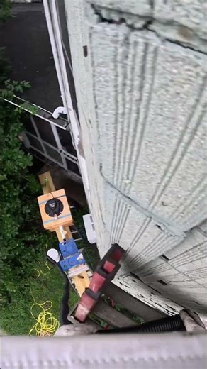 Bee Hive Removal