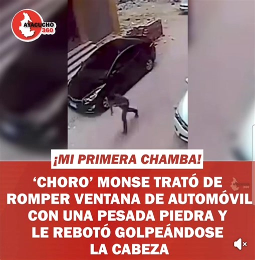 🔴LO ÚLTIMO🔴 ✨️CHORO MONSE TRATÓ DE ROMPER LUNA DE AUTOMÓVIL CON PESADA PIEDRA....Y ESO PASÓ??? 😎✨️ | Camilo y Eva Luna - Huacho