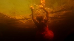 Swamp Murders
