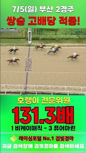 [부산 경마] 7월 5일 일요 2경주 호랭이 전문위원 쌍승 고배당 적중 #경마 #automobile #한국마사회 #horse #하이라이트 #horseracing #게임 #뉴스