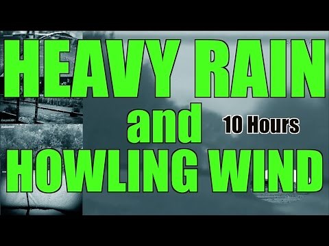 Heavy Pouring Rain and Thunder and Wind | 10 Hours | "Rain" "Rain Sounds" "Sleep Sounds"