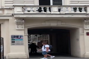 witziges Video 'Hund will Ball spielen' - FUNPOT