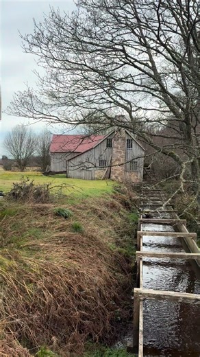 The Forbes Family on Instagram: "📍 Finzean Water Mills 🚗 We parked in a small car park just at the side of the Saw Mill. The access road to the forest of Birse was closed to cars when we visited. It can be found at: What3words- ///jumpy.unfocused.unfilled 🥾 From the small parking area, we walked what would be just shy of about half a mile and crossed a small wooden bridge. From there, we followed a well established path on a slightly muddy/grassy root alongside the Water of Feugh. We followed