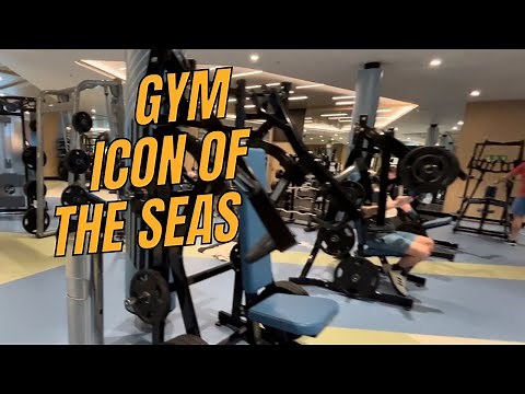 Exploring the Gym on Icon of the Seas