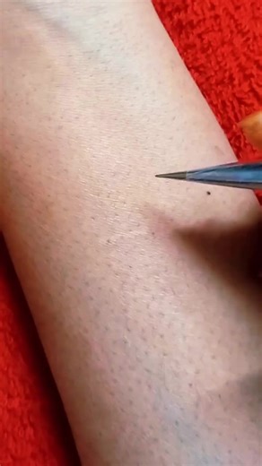 Latest Mehandi Design Trends