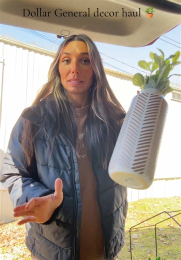 Dollar General Decor Haul for Your New Home