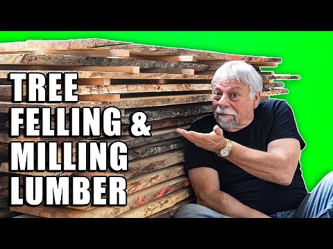 Tree Felling & Milling My Own Lumber with a Portable Sawmill