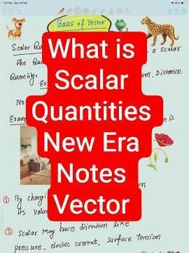 1 ) Scalar Quantities 🔥 | Definition, Examples & Concepts | Class 11 Physics | New Era Notes