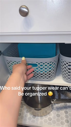 Organize Your Tupperware with Dollar Tree Bins