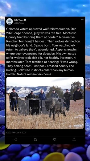 After Space… They Finally Found Home 🐒🌿 #SpaceHistory #AnimalHeroes #EmotionalStory #YouTubeShorts