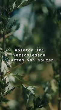 Ableton Live 101: Spuren einfach erklärt!