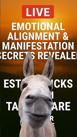 AFR LIVE | Alignment & Manifestation Secrets Revealed | Esther Hicks Inspired