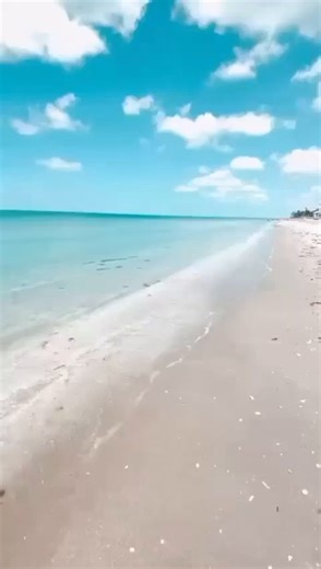 🌴 🌊 Can’t be here in person? Our beach cam brings the beauty of Englewood Beach to you, live and in real time. Wherever you are, a view of paradise is just a click away. ➡️Watch now: https://www.pureflorida.com/beaches/live-beach-cam/ 📸: Manasota Key Resort #BestSideOutside #EnglewoodBeach #LoveFL | Punta Gorda/Englewood Beach