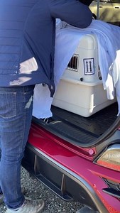 31 reactions · 6 comments | Happy #FreedomFriday to this newly...