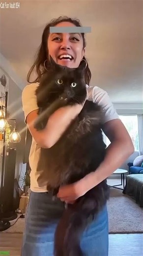 Funny Cat 🐕 New Funny Cats 2024 🥰 # Ep 3260