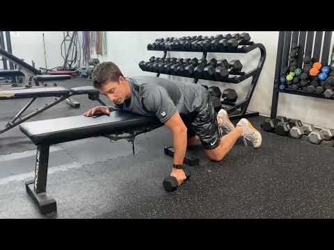 DB Prone 1 Arm Triceps Extension