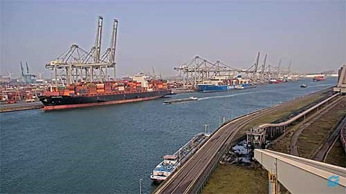 Amazonehaven West Cam, NL