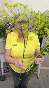 3.4K views · 2.9K reactions | It’s Cool Flowers seed starting time!...