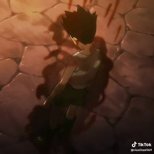Gon vs Pitou: An Emotional Hunter x Hunter Encounter