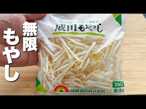 【もやしの簡単レシピ】包丁入らずパパッと炒めるだけ！やばうま〜