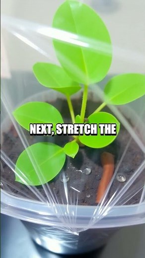 Building a Mini Water Cycle Model