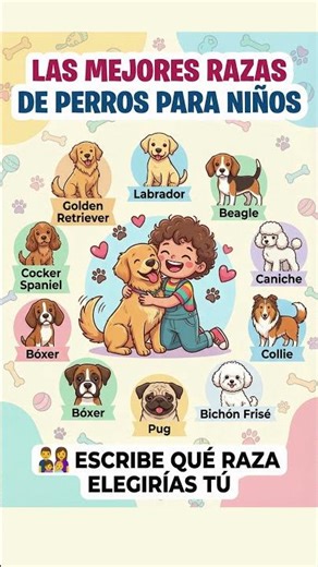 LAS MEJORES RAZAS DE PERROS PARA NIÑOS