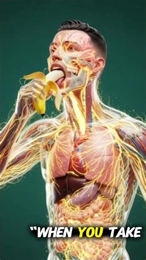 Inside Your Gut: 3D Animation of Banana Digestion & Parasite Worms #shorts