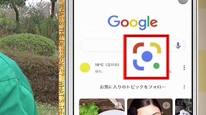 写真を撮るだけで名前も値段も分かる「Googleレンズ」が超便利｜TBSテレビ