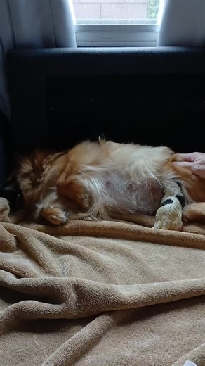 Margaret Rose Miller on TikTok