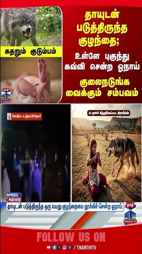 Wolf | children | Child | Police | Parents