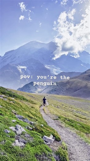 Best trail in Mt. Rainier?