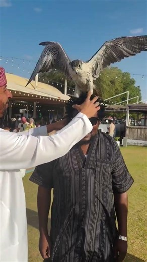 MIKOGO YA DOTTO MAGARI AKIWA DUBAI NI MWENDO WA BATA TU.