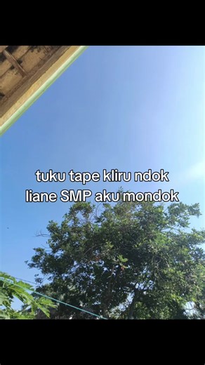 #rawr🦖 #4upage #kphganksoloraya🚀 #fypsuuuuuuuuuuuuuuuuuuuuuuu #rawrrrr #moots? #menyala🔥 #smp #pesantren #mondok #xybca #save