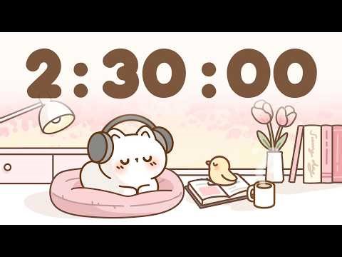 150 Minute Timer 🐱 2 hour 30 minute Study Timer for Classroom Focus