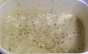 How A Levain Works To Make Bread Rise