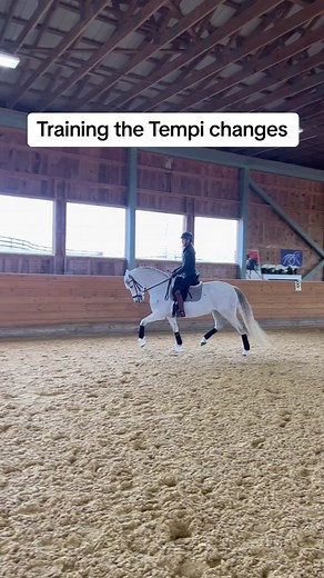 Tempi changes with Pitty! #dressagetraining #tempichanges #flyingchanges #pferd #horse #dressage #horsebackriding #horserider #horsetrainer #equestrian #horsegirl #dressagehorse #horses #horsetrainer #dressagelesson