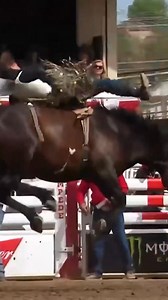 We're still not over the elite horsepower that the Calgary Stampede 3-man round brought in the bareback riding 😮‍💨 | CowboyChannel