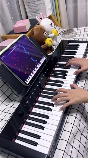 Can 61 Key Digital Piano Keyboard Play Summer? Terence piano keyboard 61 keys Beginner Piano