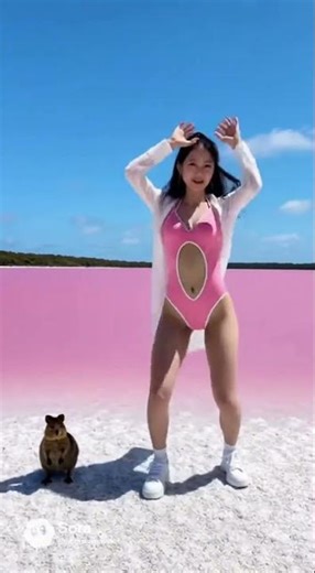 K-Pop Pink Paradise! 🇰🇷🇦🇺 Dancing with the Happiest Quokka at Lake Hillier!