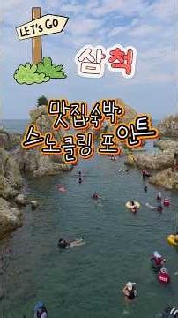 삼척 스노클링 포인트부터 필수맛집,장호항 접근성 좋은 숙소