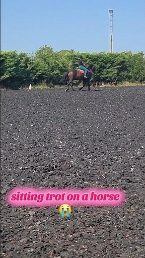 Improving My Sitting Trot - Horse Riding Journey 🐎✨ #equestrianjourney