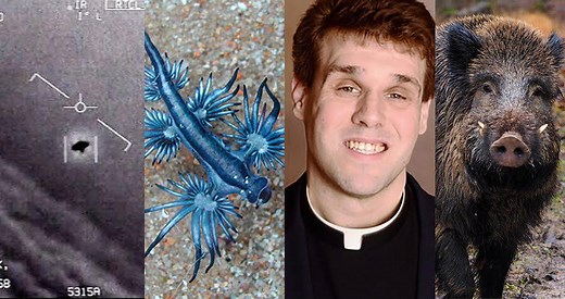 Absurd News Stories That Could Have Only Happened In 2020