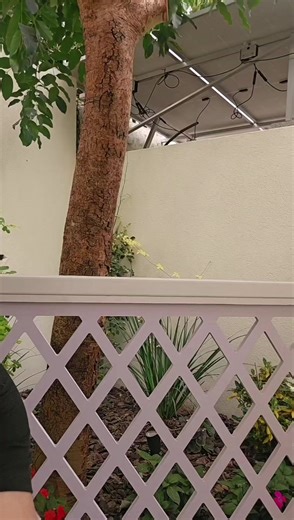 ‏Be available for life to happen. - Bill Murray #coachperry