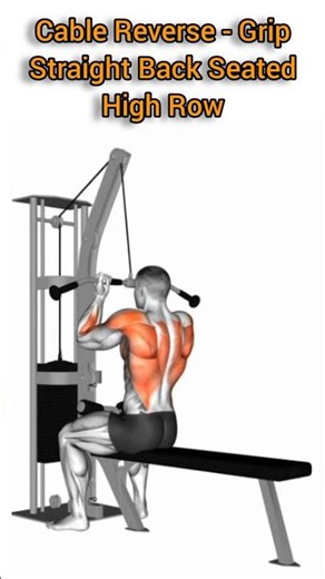 Cable Reverse - Grip Straight Back Seated High Row