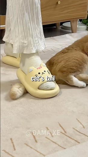 😳NEVER Do This To A Cat 💁‍♀️It Might Make Things Worse